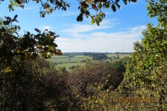 foto12